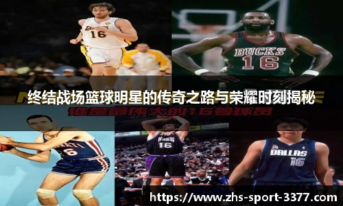 3377体育